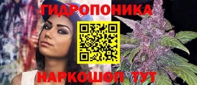 прущие грибы Нарткала