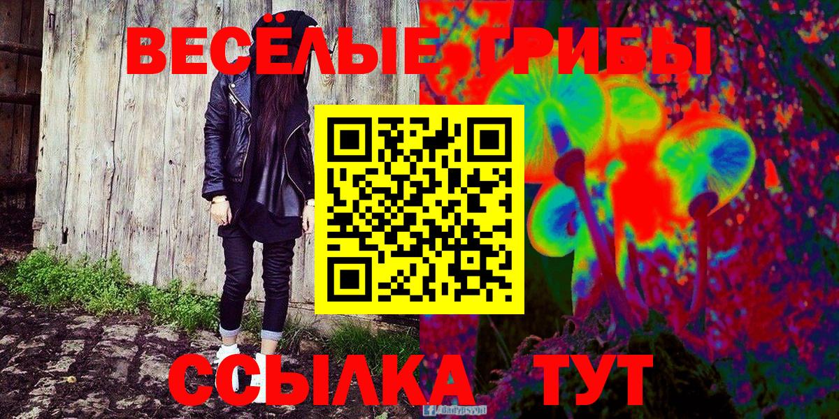 Галлюциногенные грибы Magic Shrooms Сальск